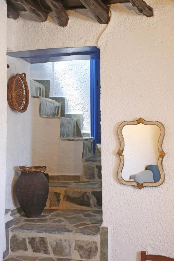 Le Petit Chateau Ano Syros Eksteriør billede